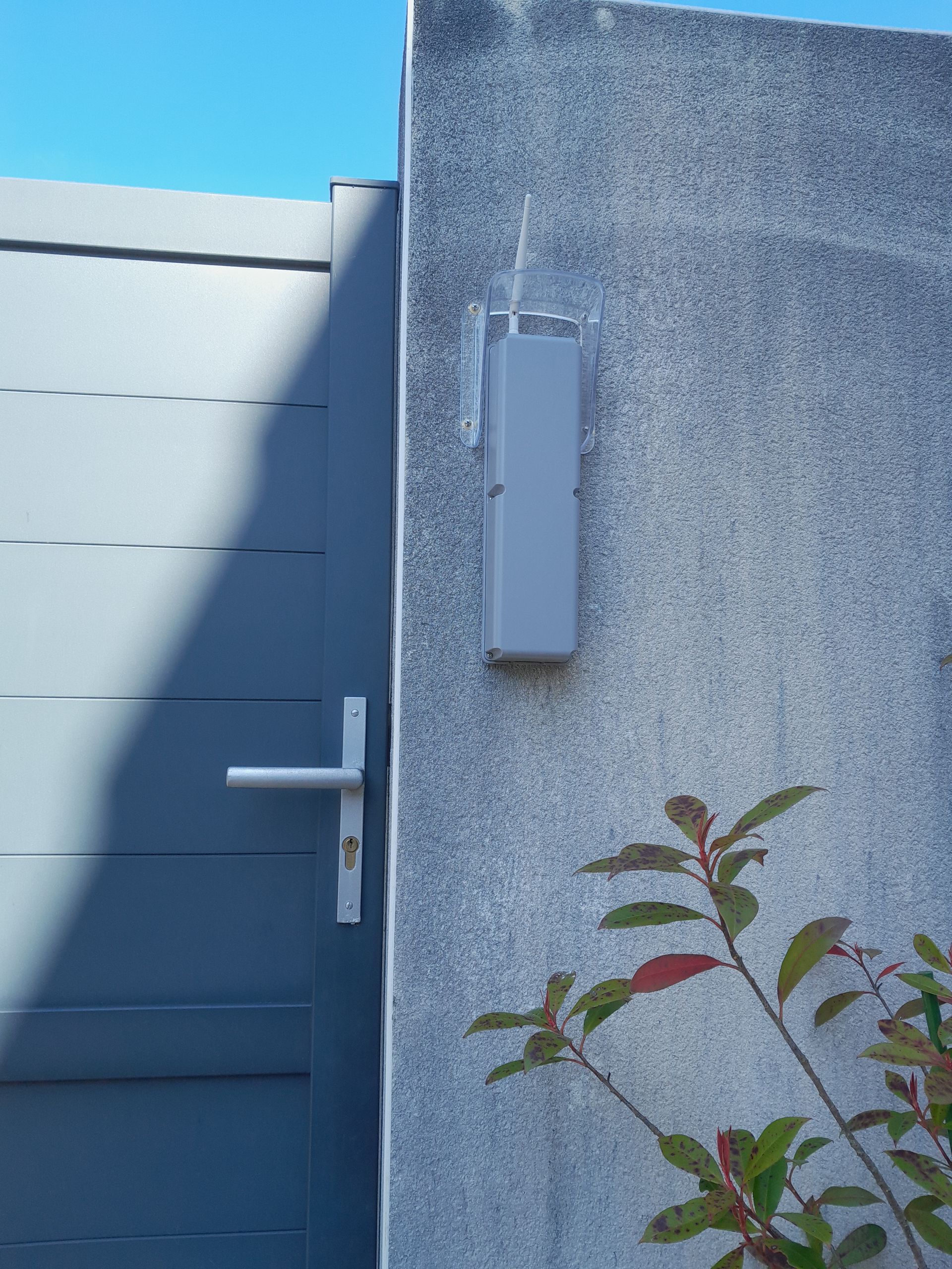 Portail bleu à côté d'un mur en stuc gris avec un luminaire rectangulaire fixé au mur et une plante feuillue au premier plan.