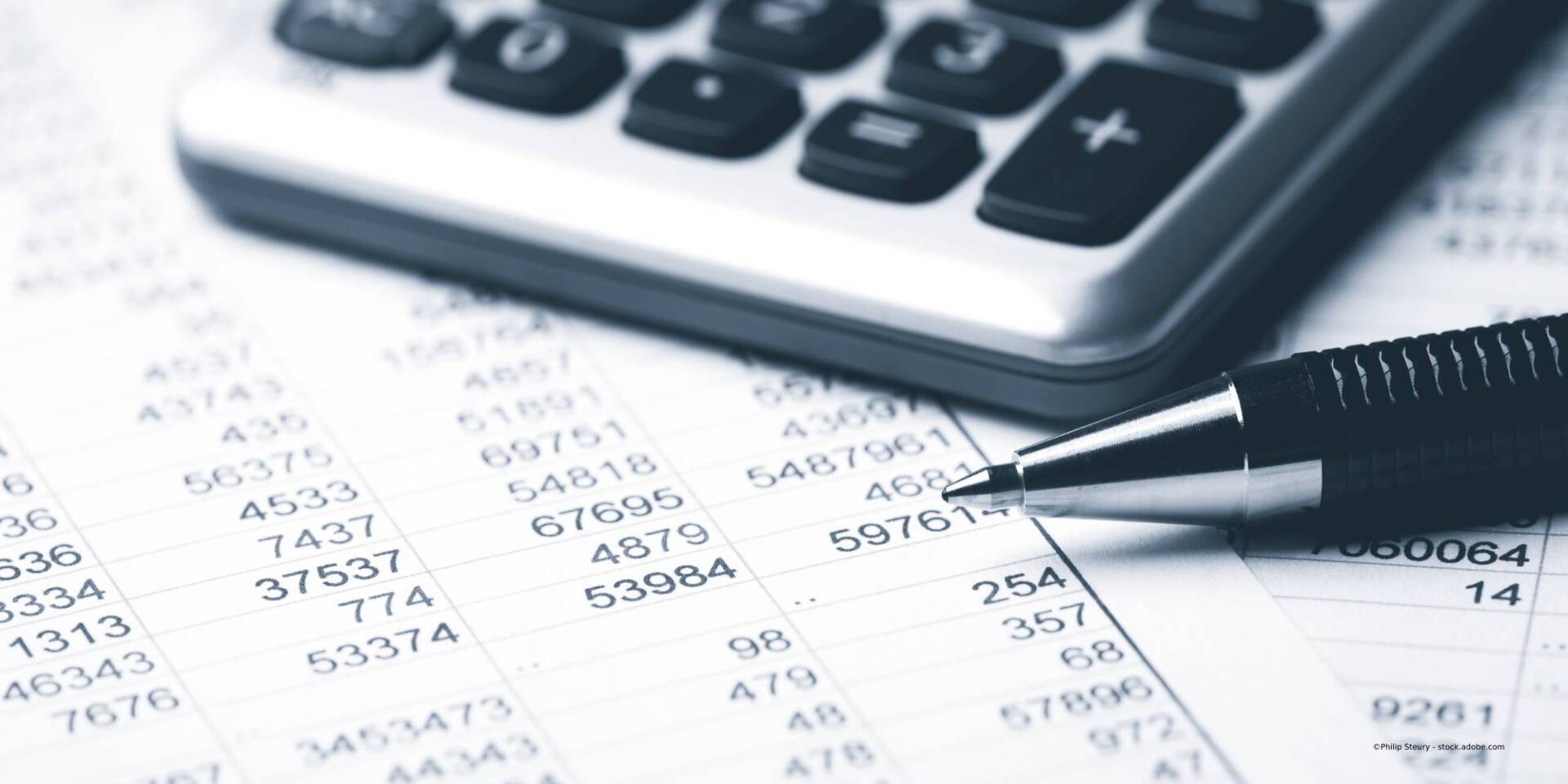 Bayer & Partner Treuhand Steuerberatungsgesellschaft mbH – Taschenrechner und Finanzen