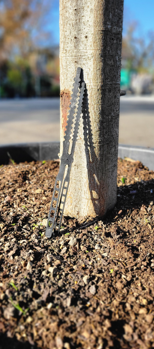 Collier plastique de tuteurage