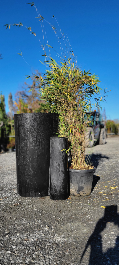 Barrière anti-rhizome