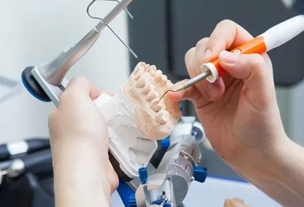 Un dentista está trabajando en un modelo de los dientes de una persona.