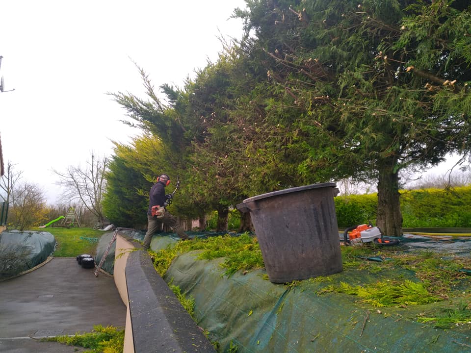 Entretien de jardin à Longueau