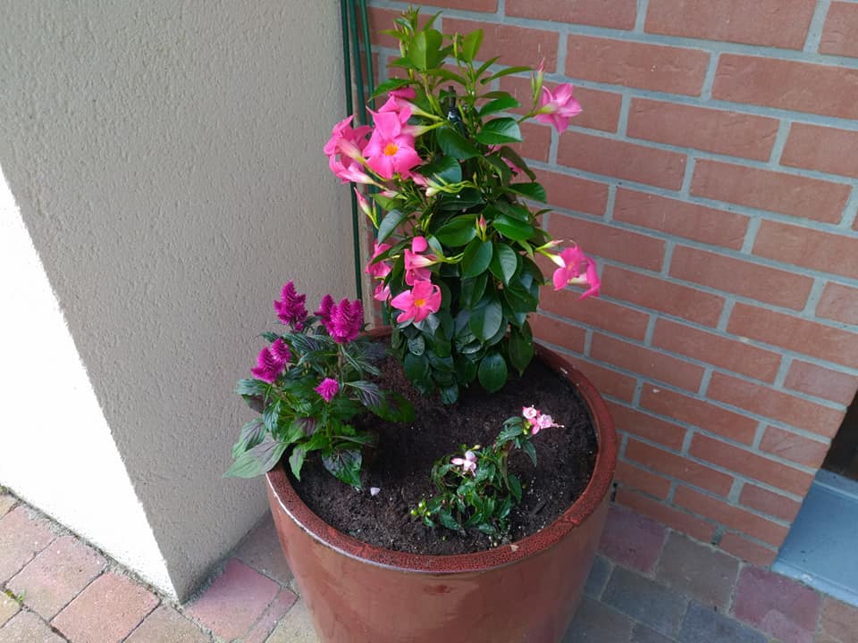 Paysagiste à Longueau