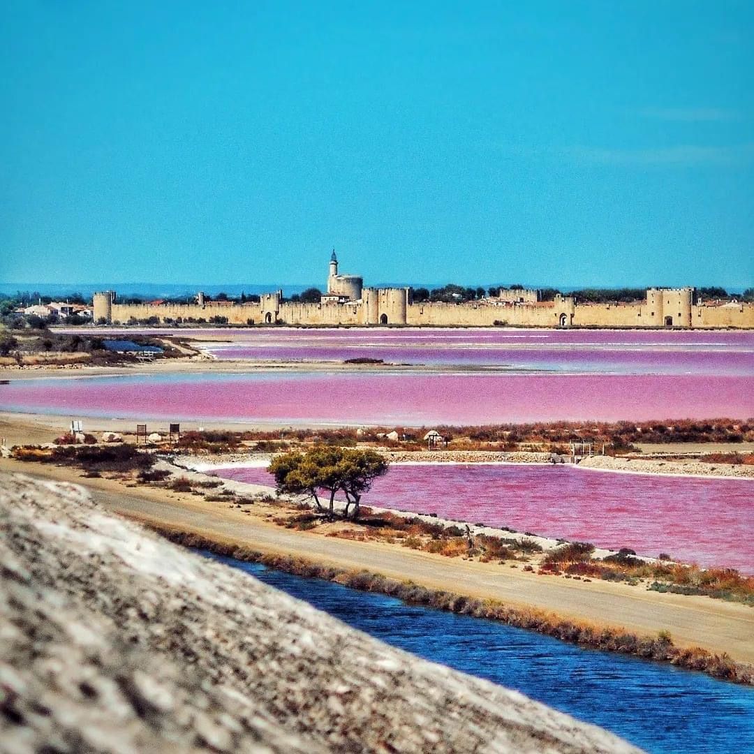 Marais salants d'Aigues-Mortes