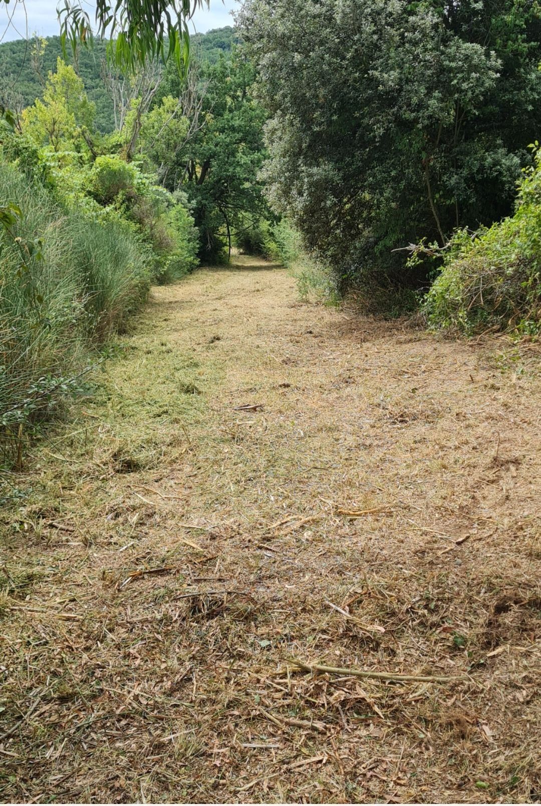 Espace vert débroussaillé et entretenu