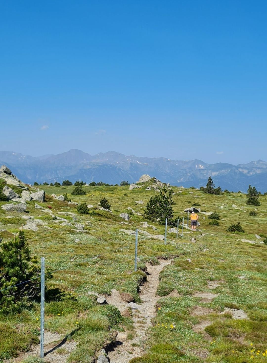 Pose de clôture agricole en montagne par un professionnel