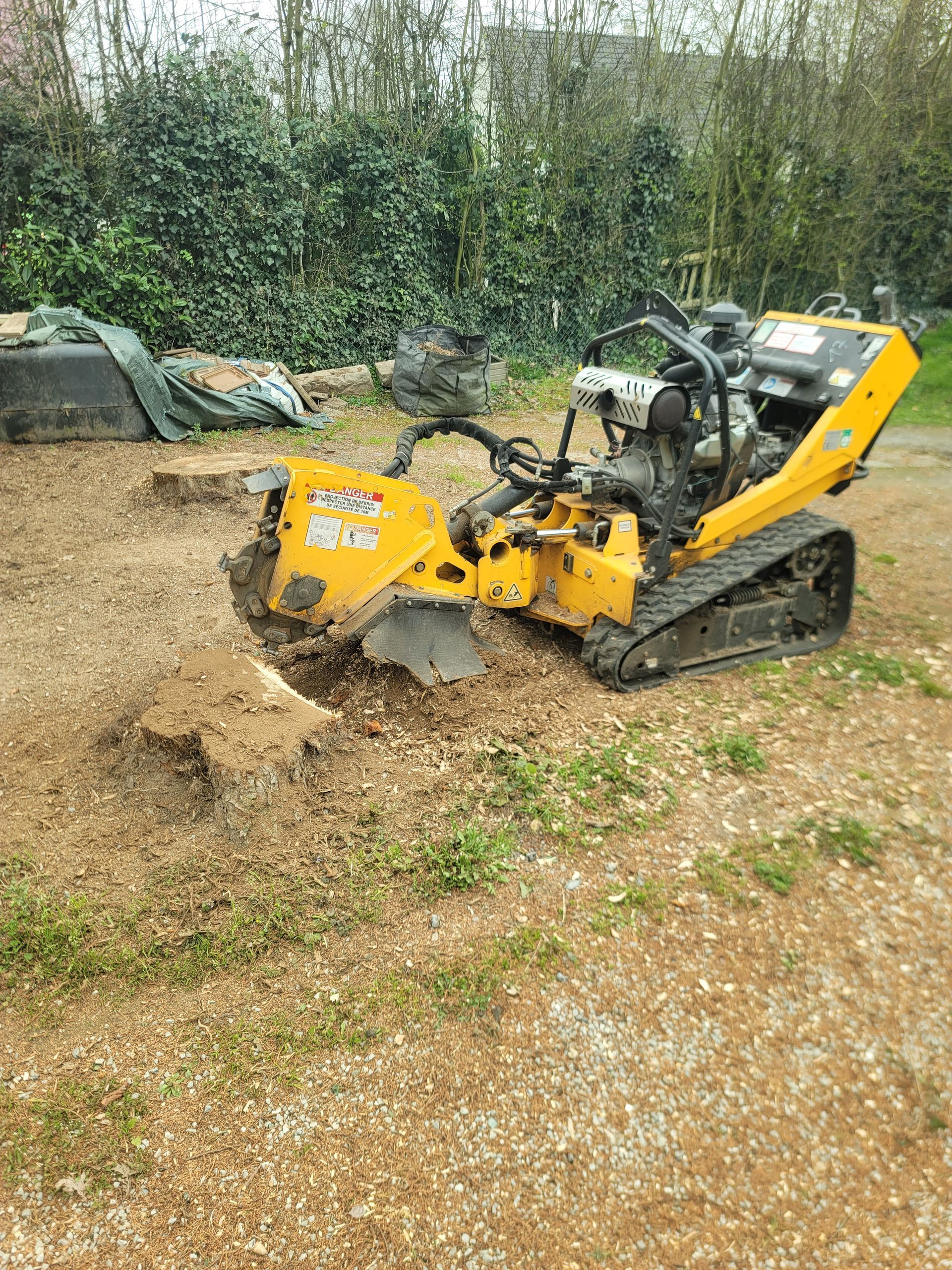 Dessouchage avec rognage d'une souche