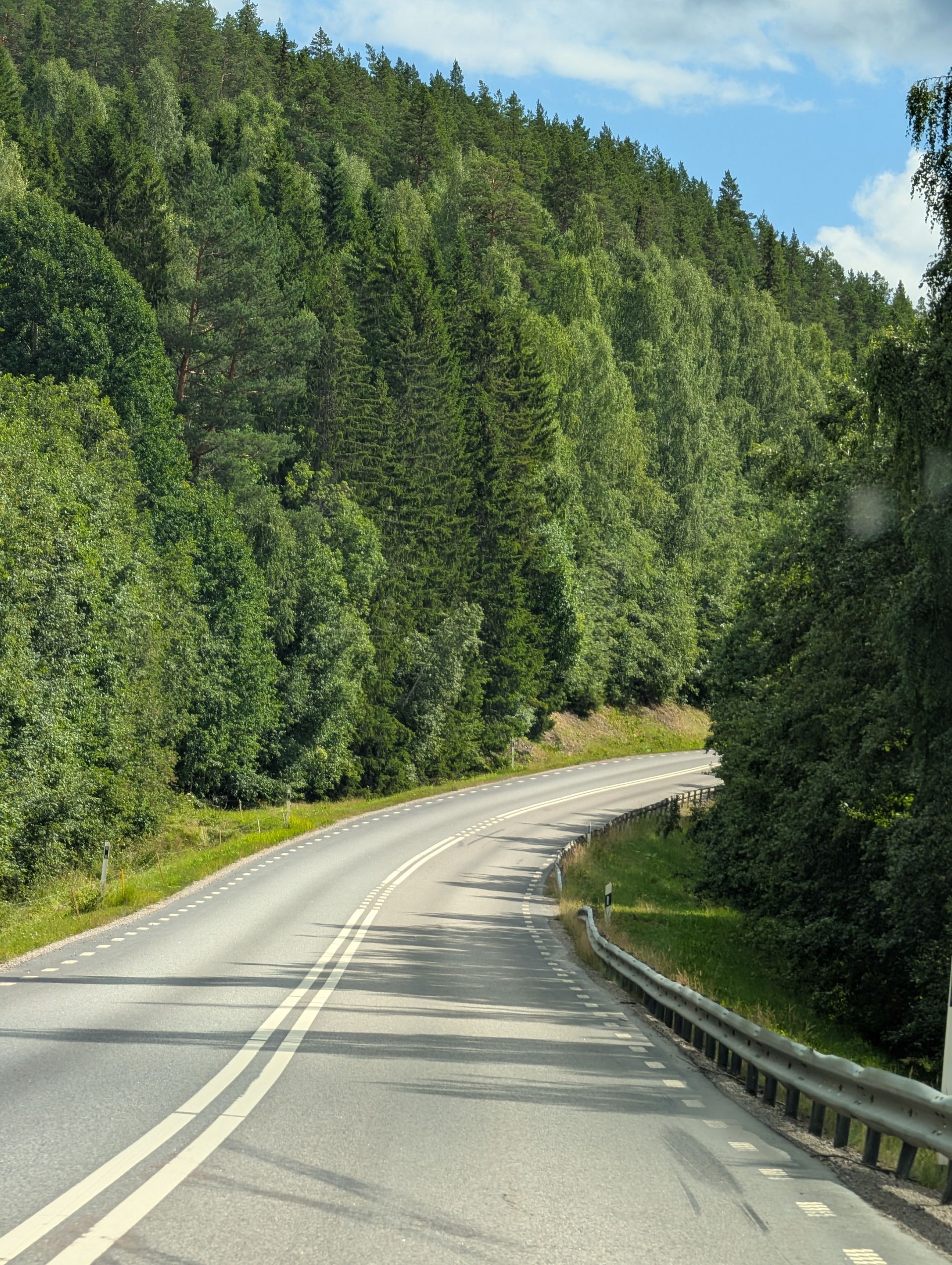 Une route en macadam entourée d'une forêt