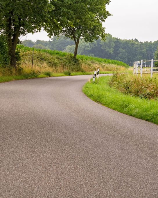 Une route en enrobé bordée de végétation