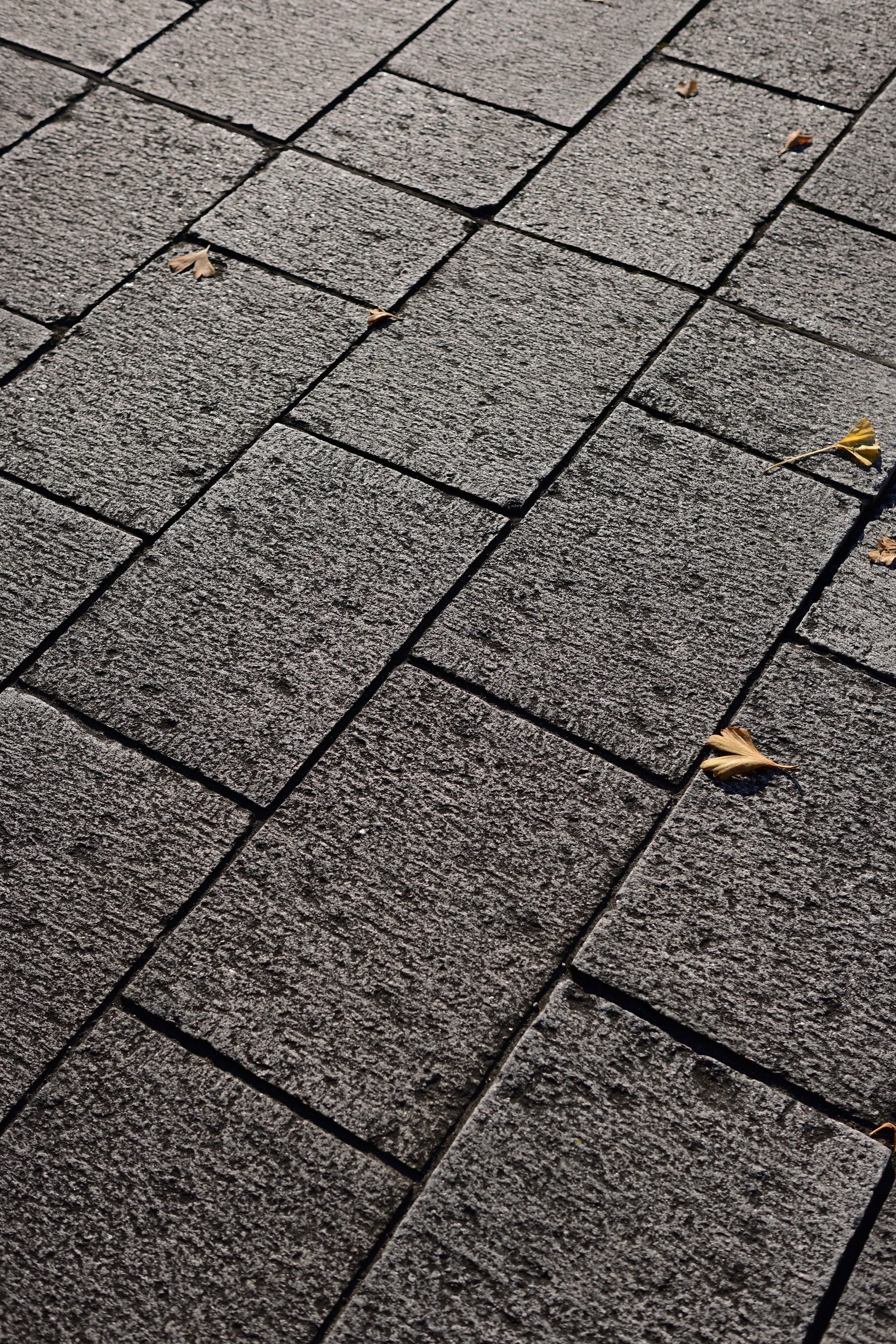 Quelques feuilles sur des pavés rectangulaires de couleur gris foncé