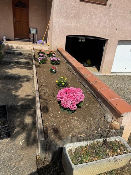 Massif de fleurs bordant une allée d'immeuble, avec des fleurs roses, jaunes et rouges dans la terre ensoleillée