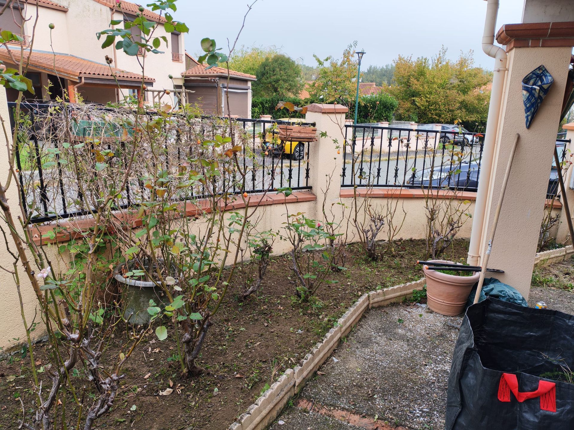 Petit patio de jardin avec plantes en pot, arbustes dégarnis et allée de pierres longeant une maison et une clôture métallique.
