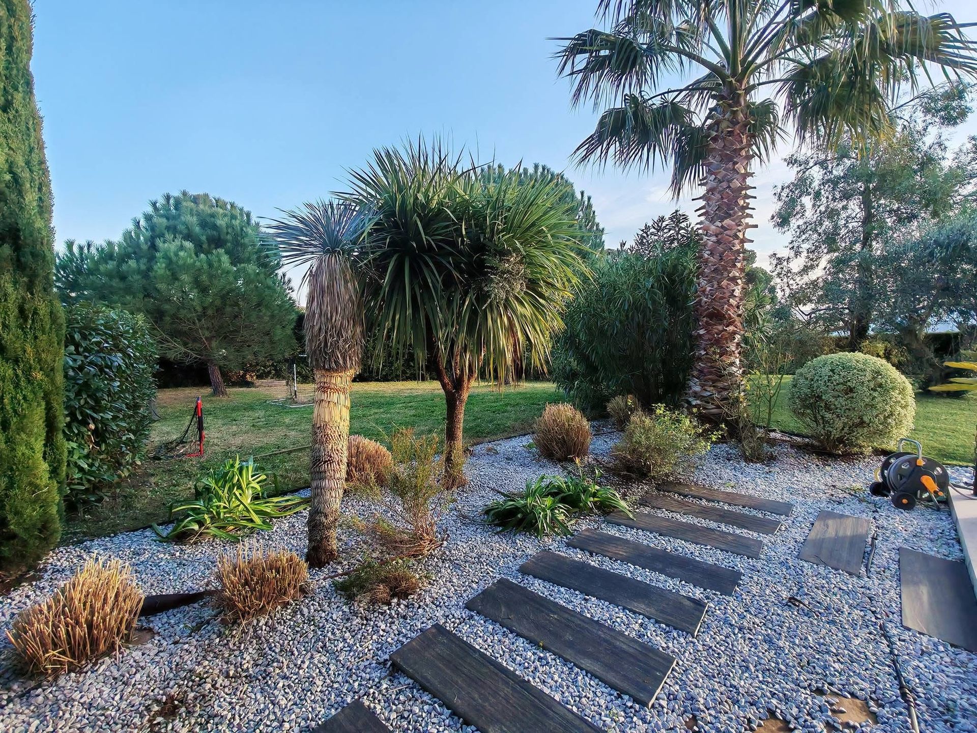 Jardin paysager avec palmiers, arbustes et marches en pierre recouvertes de gravier.
