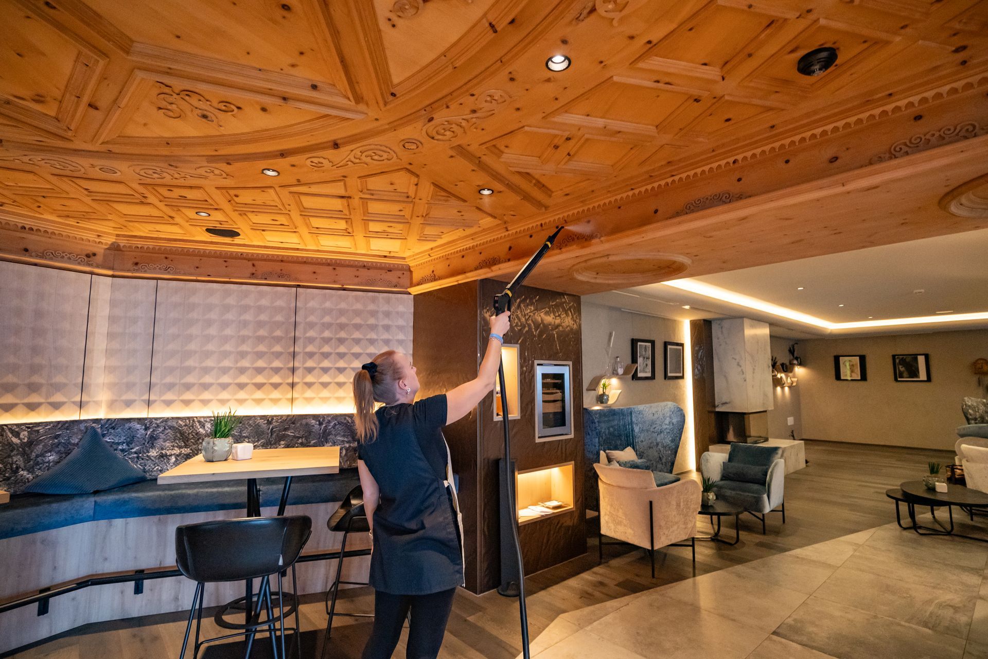 Pölyn poisto kuivahöyrypesurilla