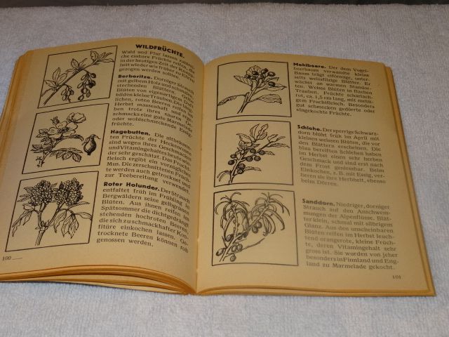 Hubis Flohmarkt Termine