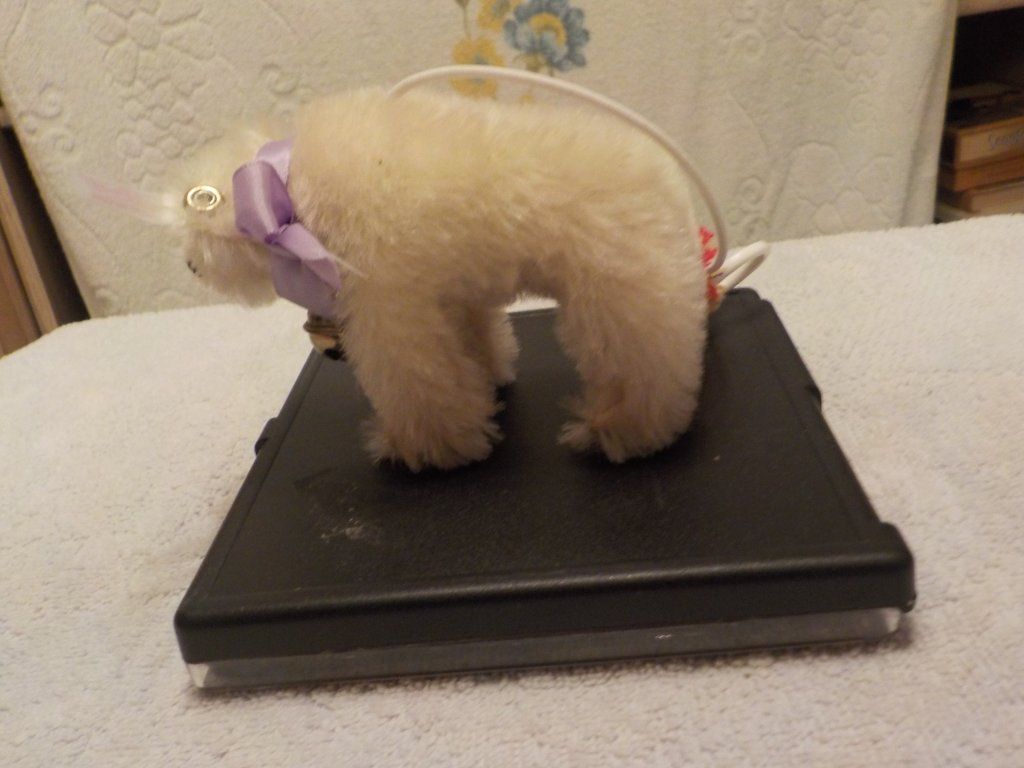 Hubis Flohmarkt Termine