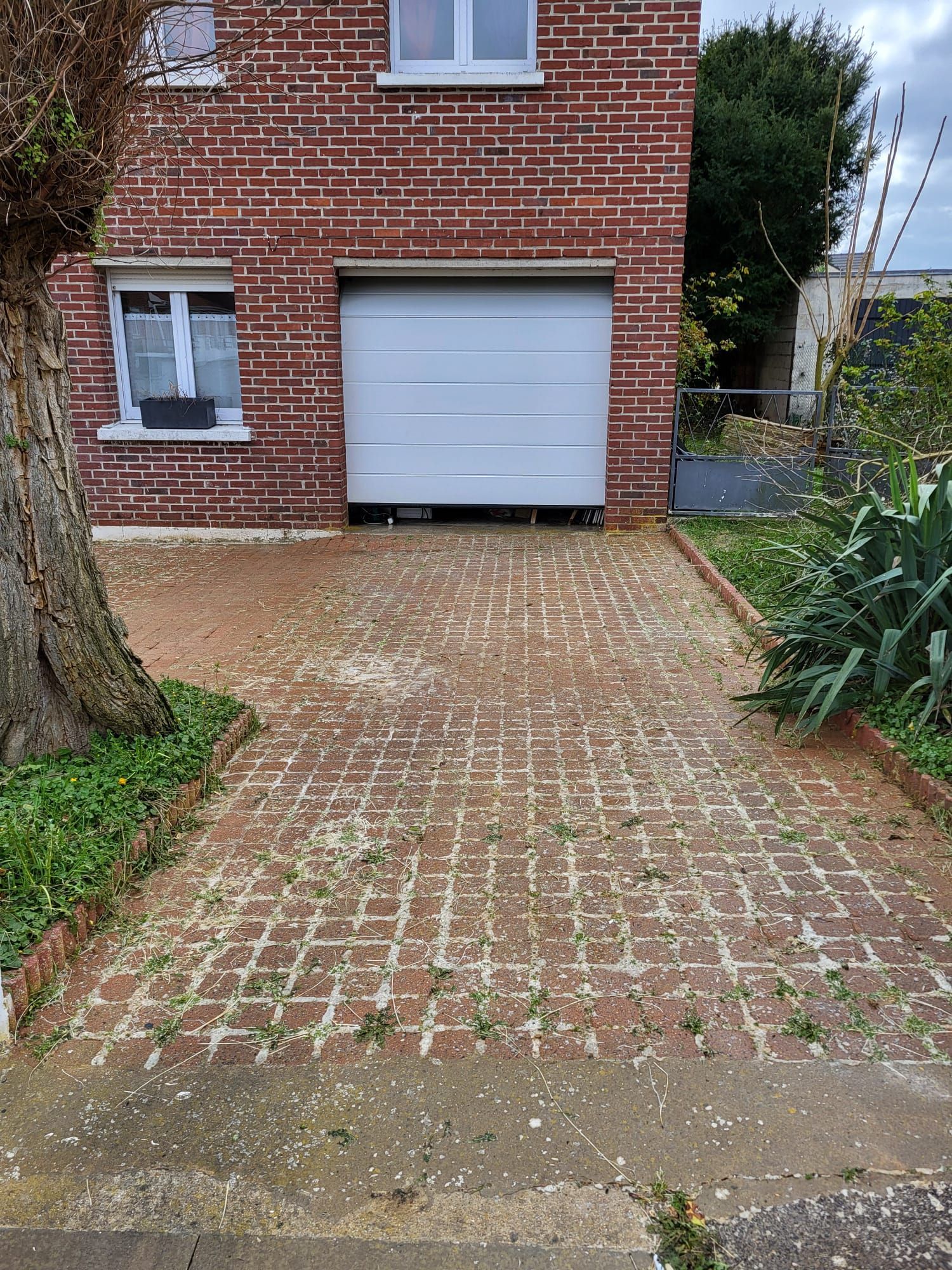 Allée d'une cour couverte de mousse après le nettoyage.