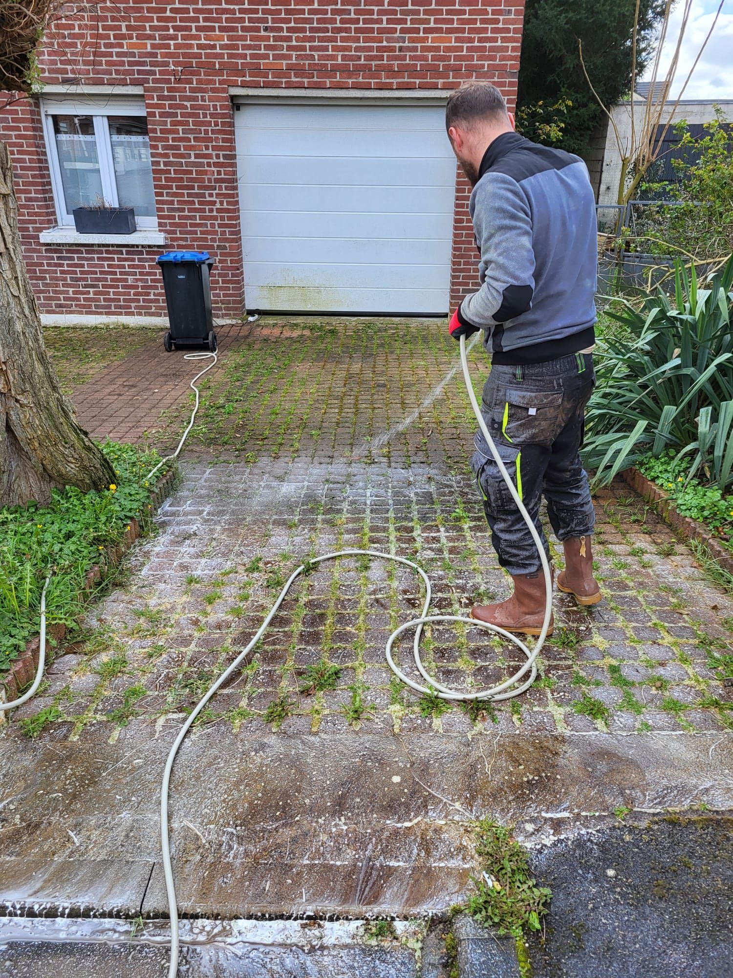 Allée d'une cour couverte de mousse avant le nettoyage.