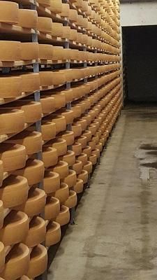 Fromagerie Régionale à Ursy