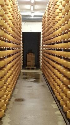 Fromagerie Régionale à Ursy