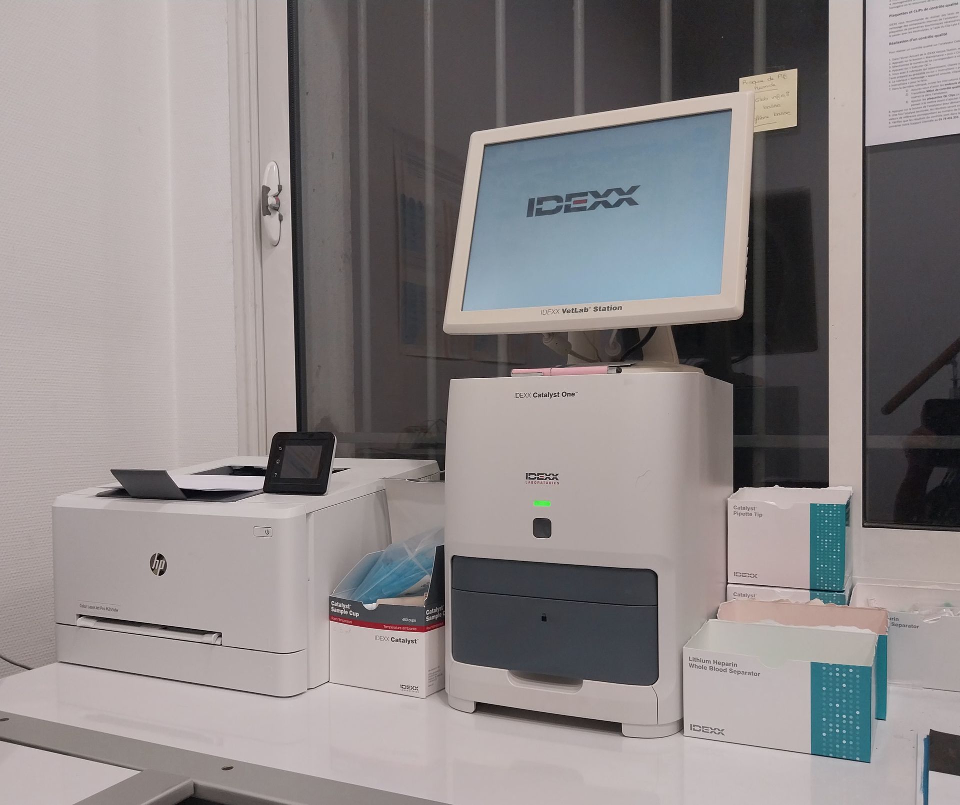 Un écran d'ordinateur vu de 3/4