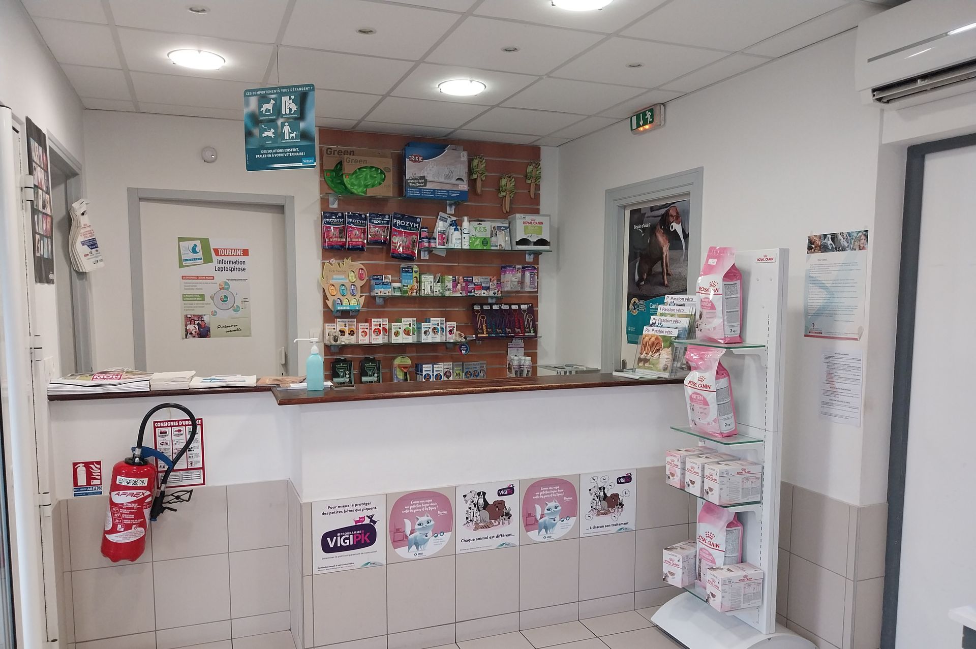 Un chat allongé sur une couverture