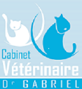 Logo Cabinet vétérinaire Docteur Gabriel