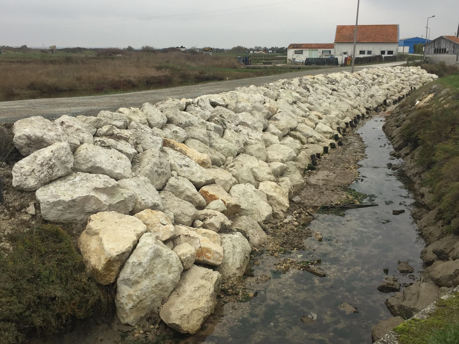 Photo de rochers au bord d'un marais