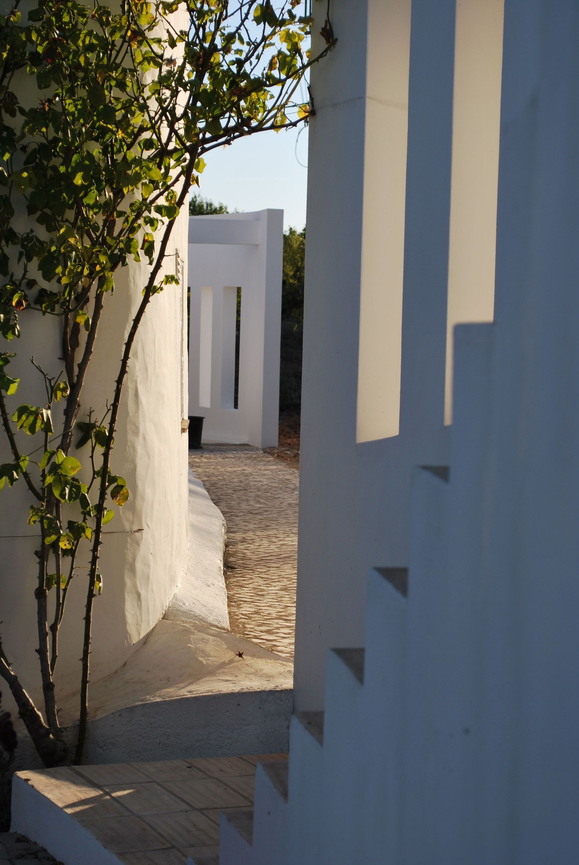 Catherine Prélaz EPFL/SIA | Rolle