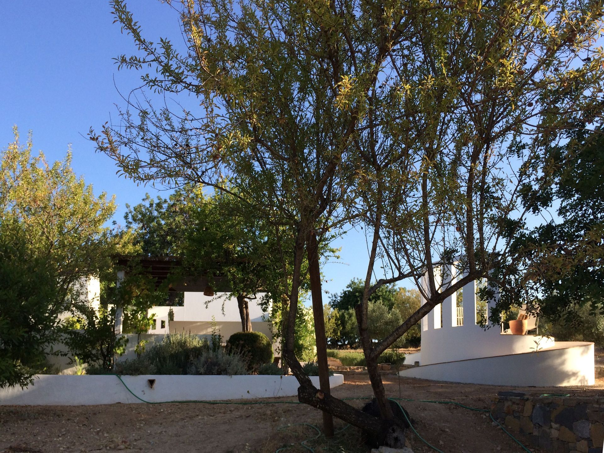 Catherine Prélaz EPFL/SIA | Rolle