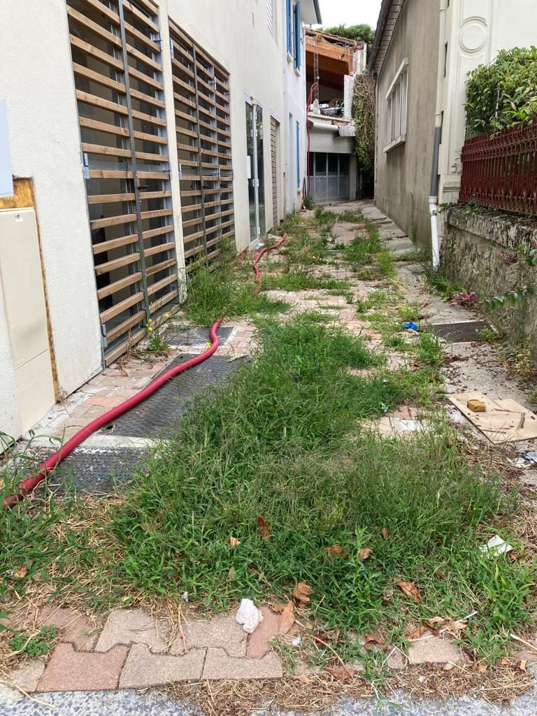 Allée de jardin avant désherbage