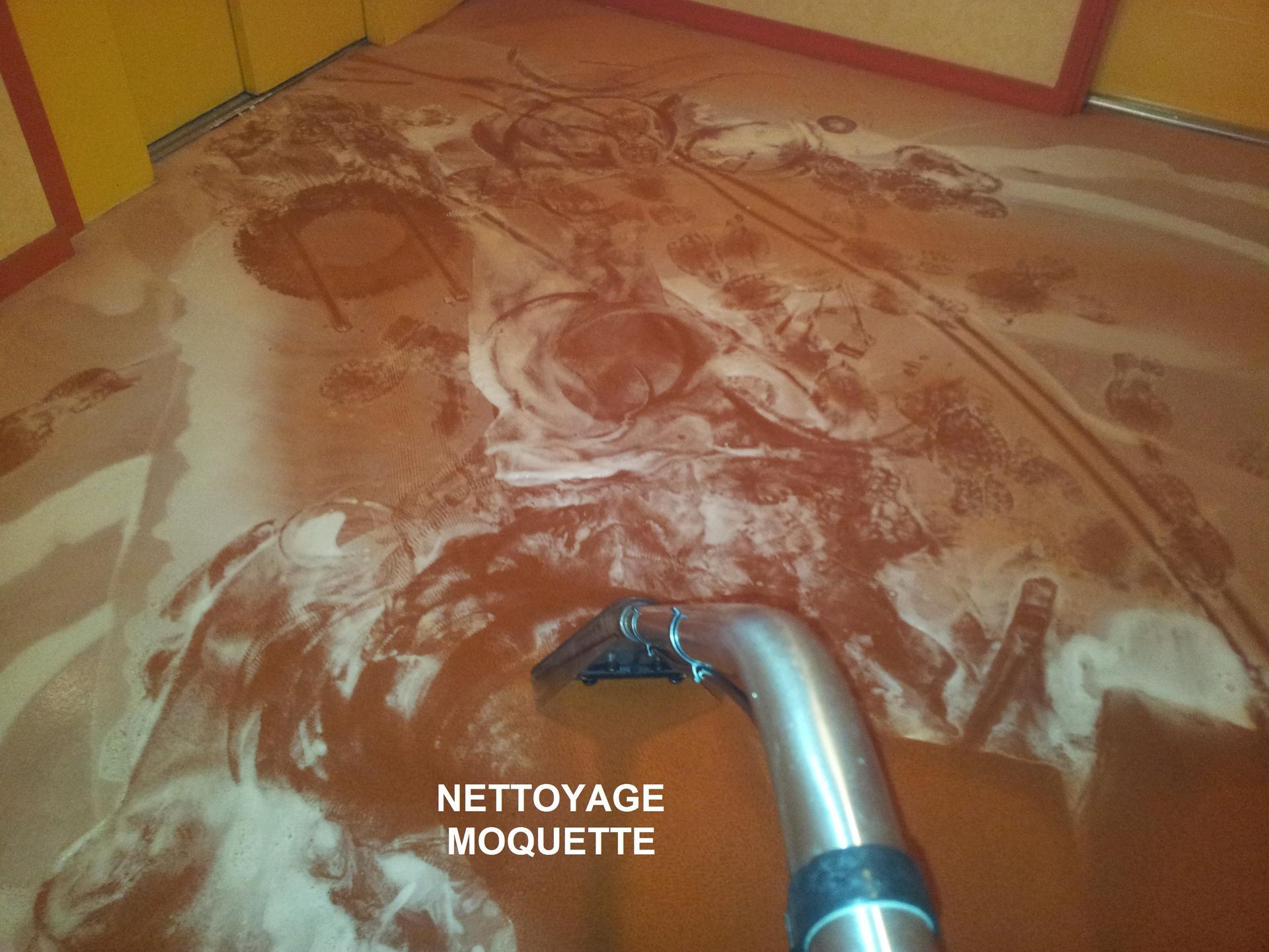 Nettoyage de moquette