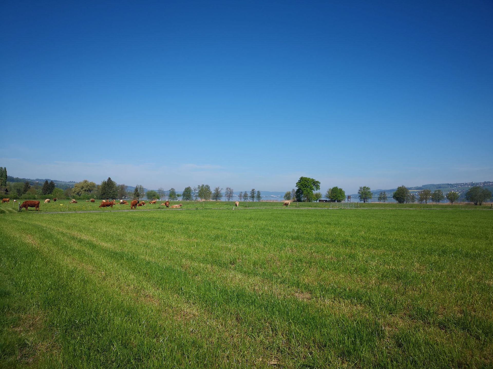 Gemeinschaftspraxis Nikolaidis | Sempach Station