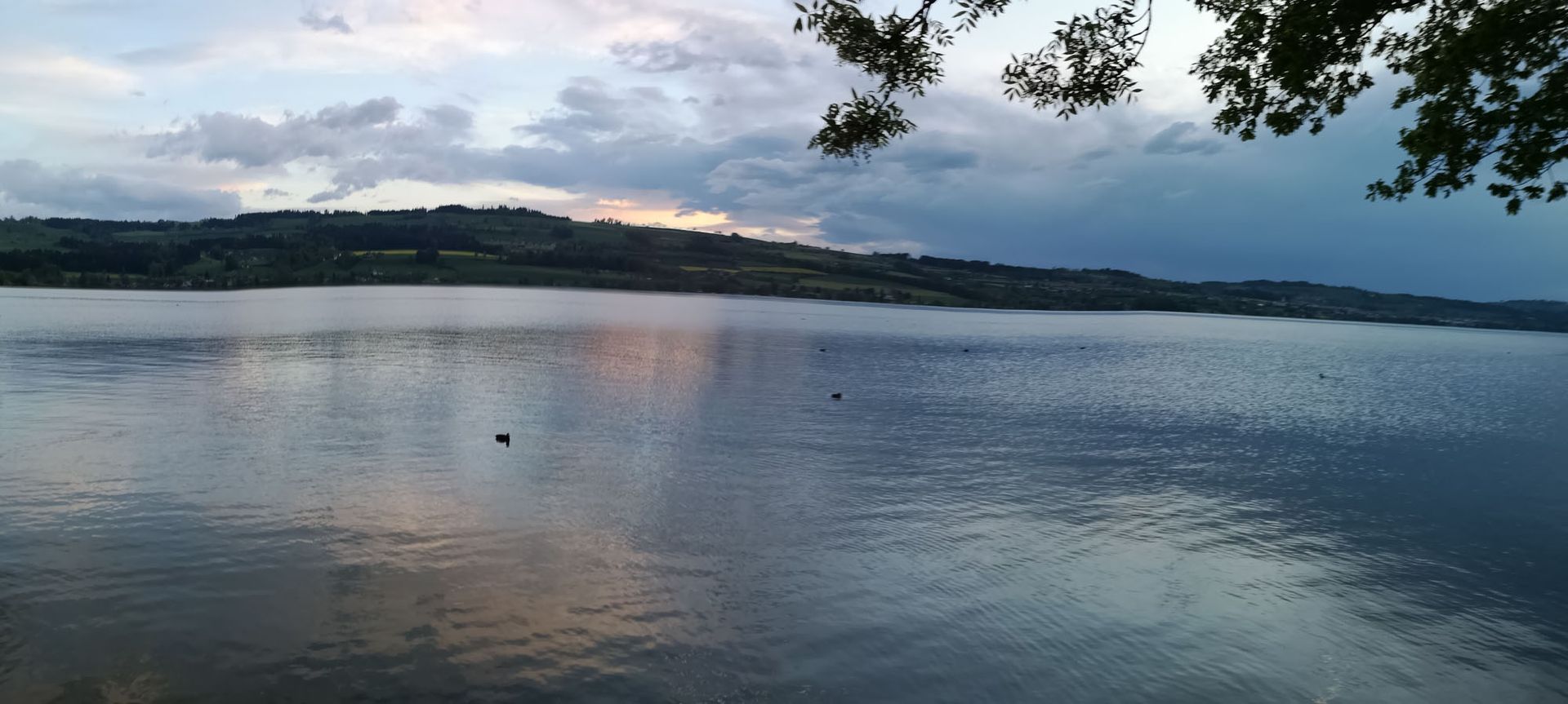 Gemeinschaftspraxis Nikolaidis | Sempach Station