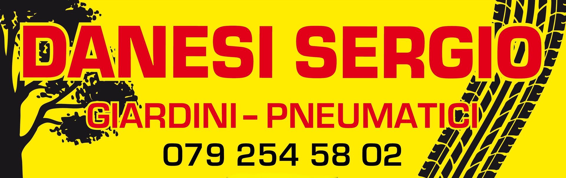 Danesi Sergio Pneumatici - Logo