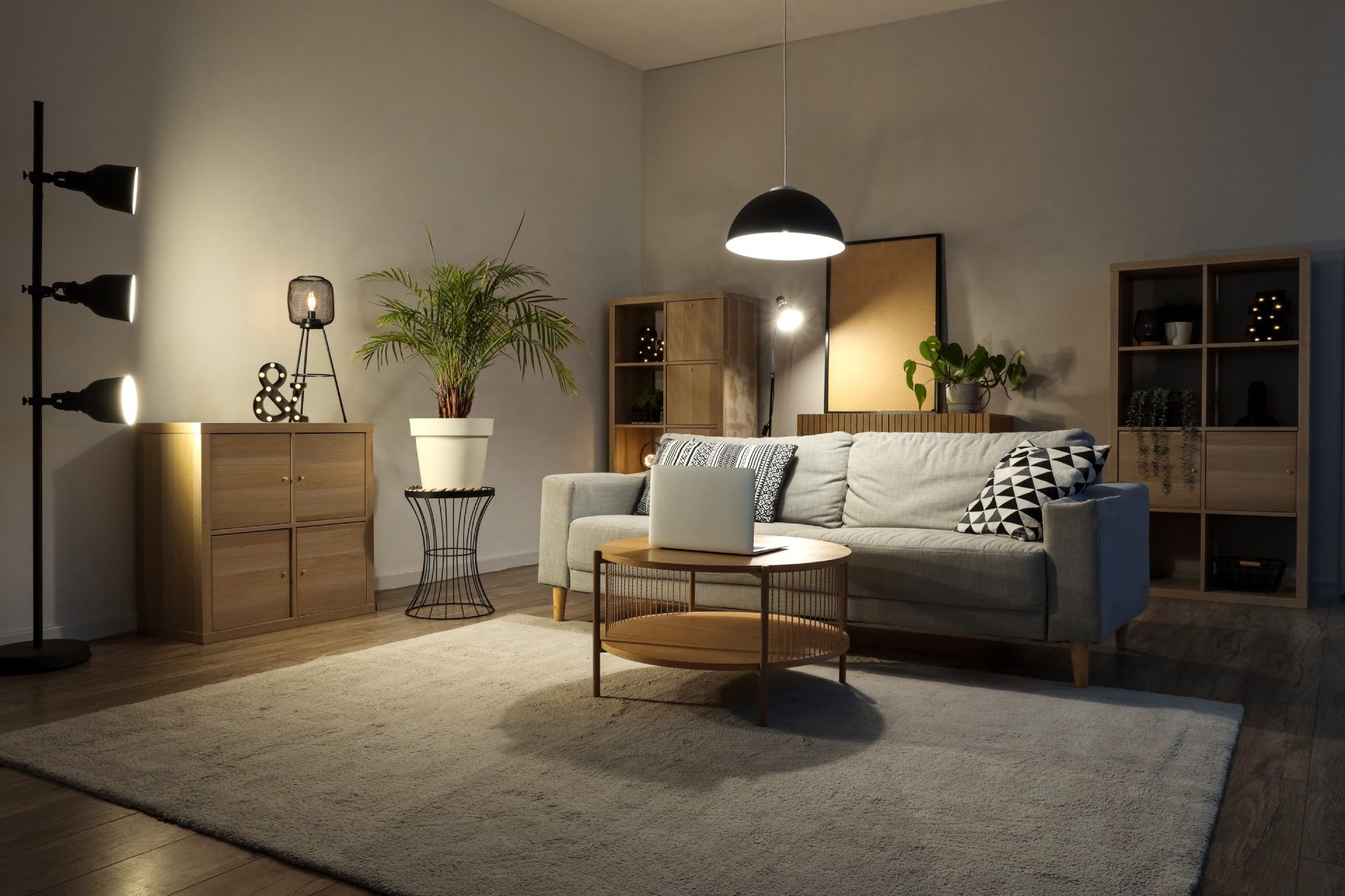 Cozy living room with gray sofa, wooden furniture, potted plants, and warm lighting.