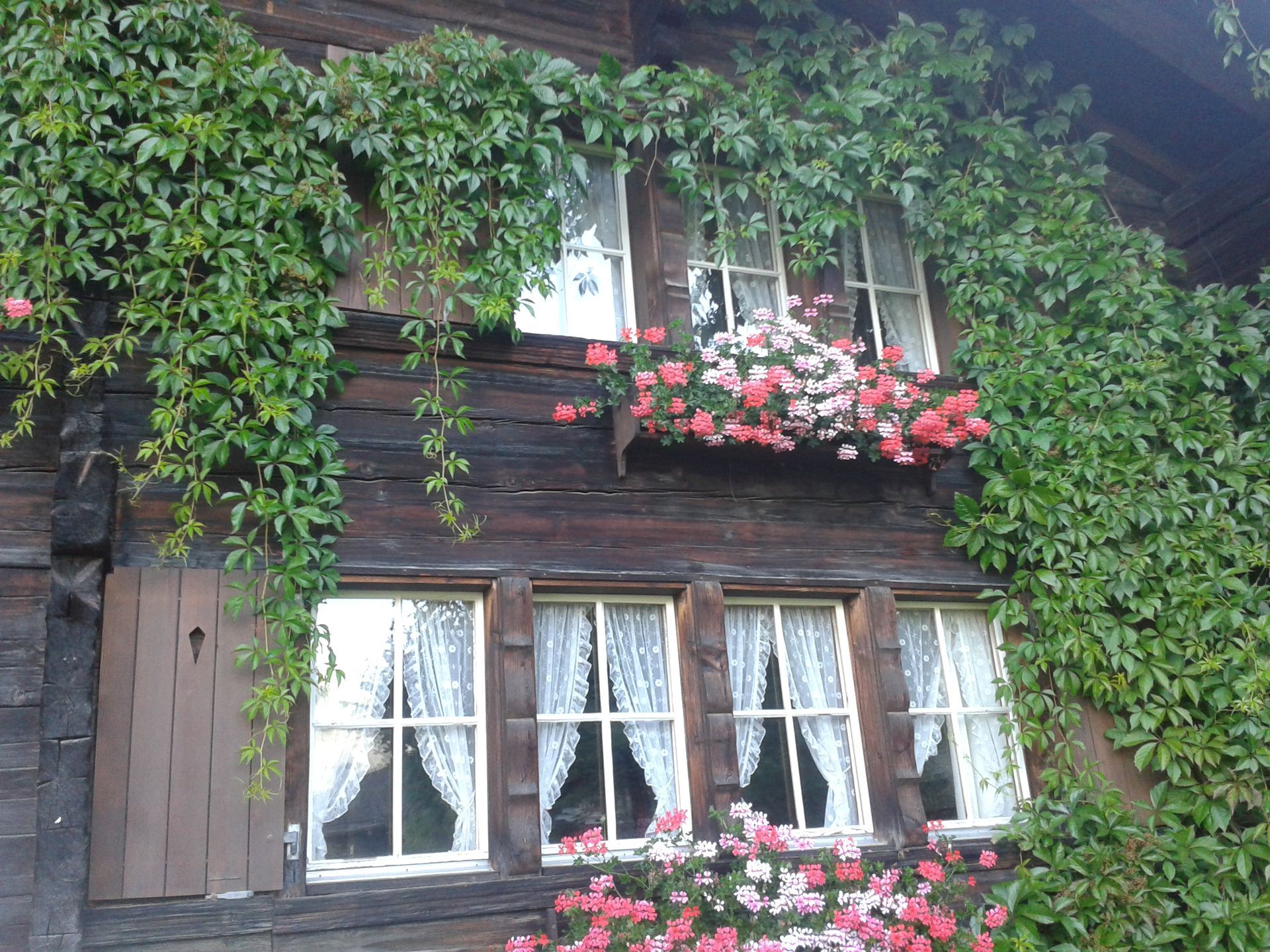 Holzrahmen und Holzfenster - Steuri Schreinerei & Innenausbau GmbH - Wengen