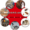 Logo - DGRG