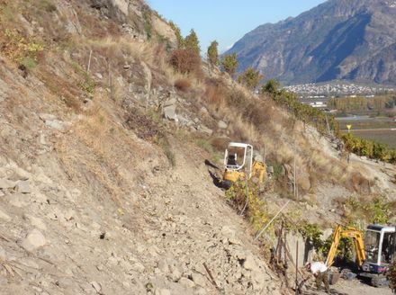 travaux agricoles