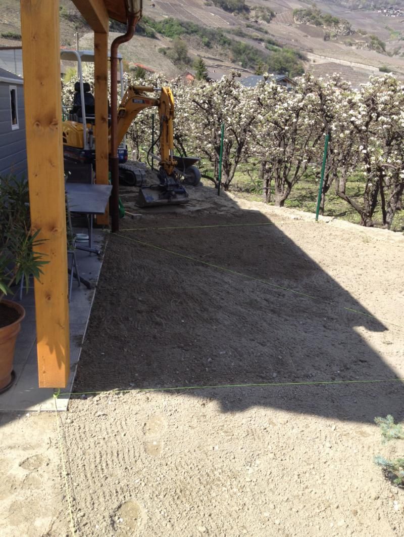 vignes