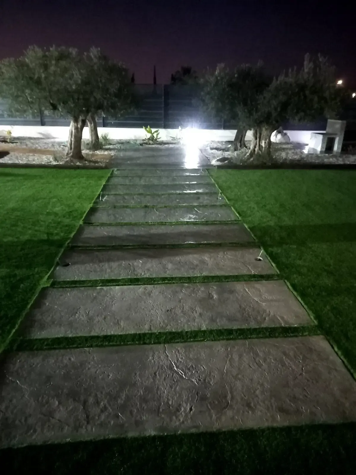 Camino de piedra a través del césped verde, flanqueado por olivos por la noche bajo una suave iluminación.