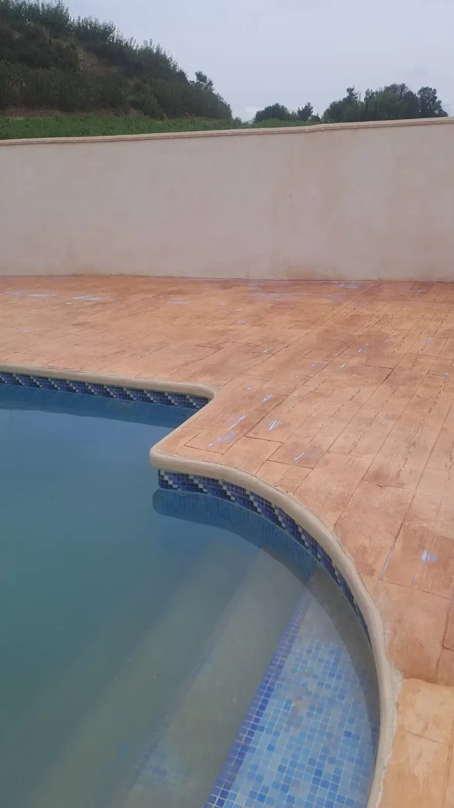 Piscina de agua azul y borde de baldosas, rodeada de un patio de hormigón de color marrón rojizo y una pared de color crema.