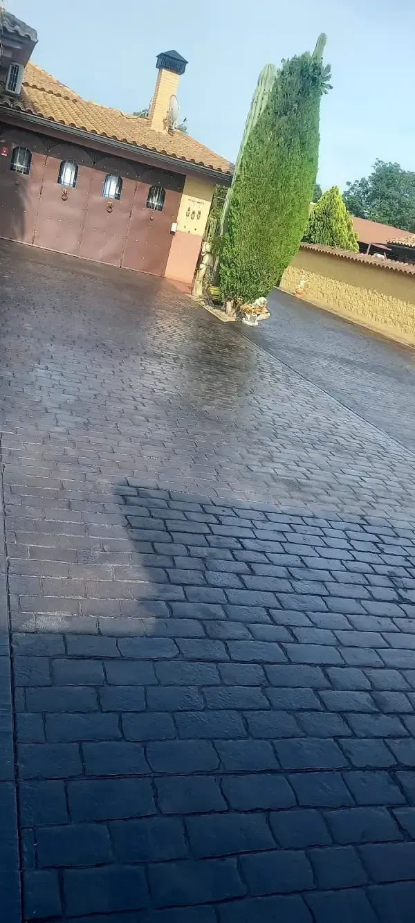 Camino de adoquines que conduce a una casa con techo marrón y chimenea, y un árbol verde.