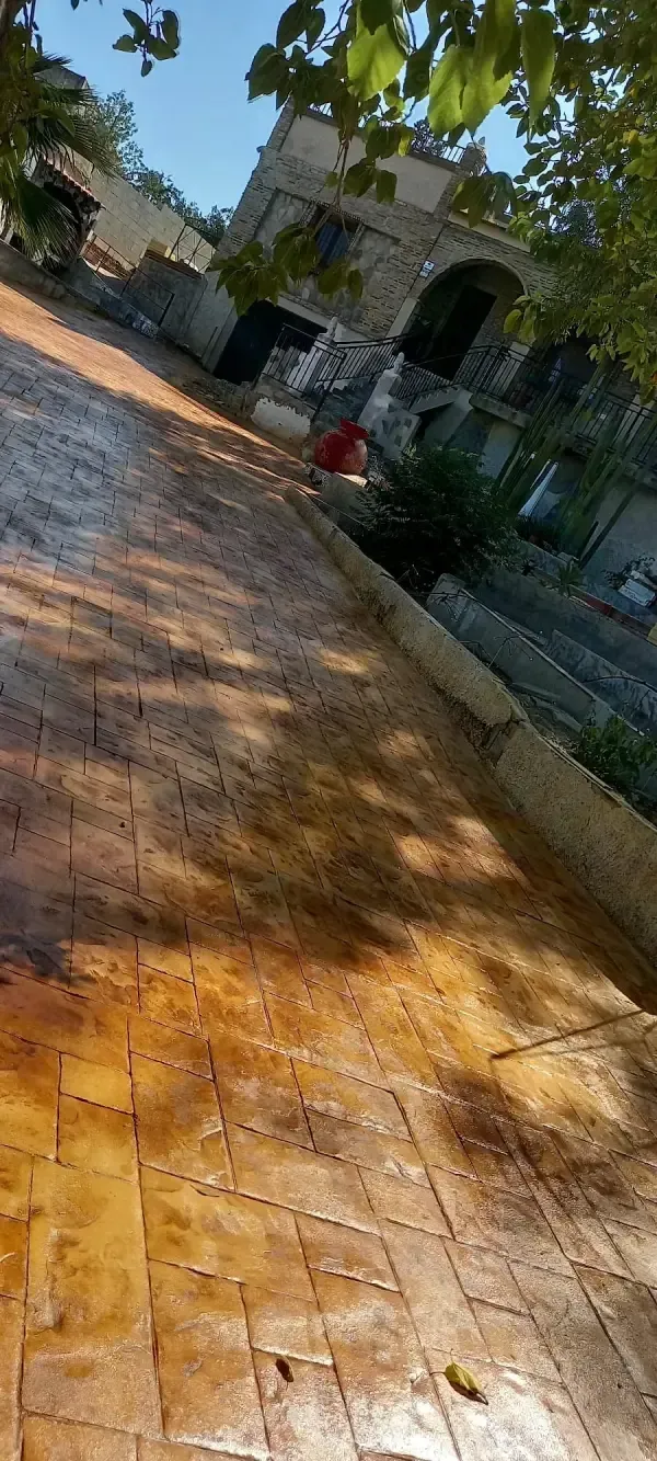 Un antiguo edificio de piedra y una pasarela de ladrillo. Algunas ramas de árboles y follaje en la parte superior.