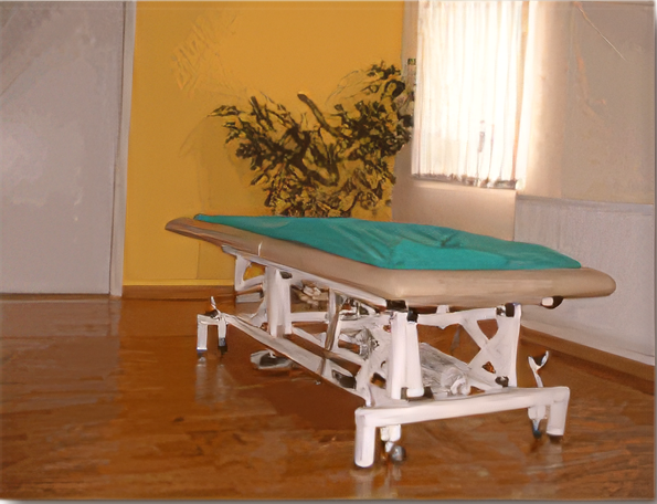 Arztpraxis: Schreibtisch mit Laptop, zwei Stühle, Untersuchungsliege, Poster und Fenster mit Pflanzen.