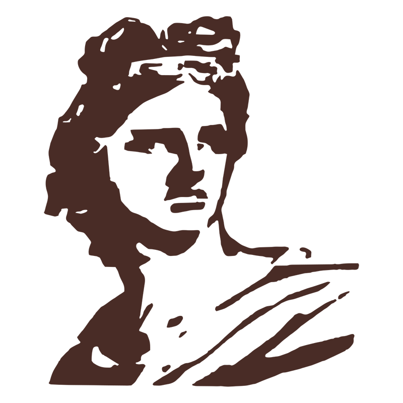 Masajes Terapéuticos Figueras