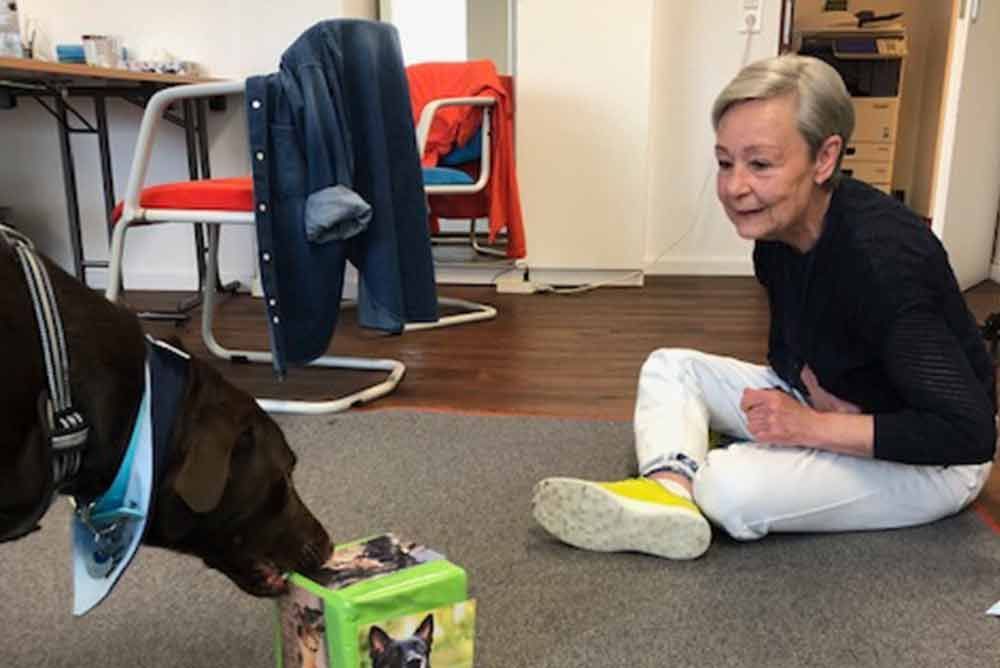 Eine Frau sitzt auf dem Boden und spielt mit einem Hund.