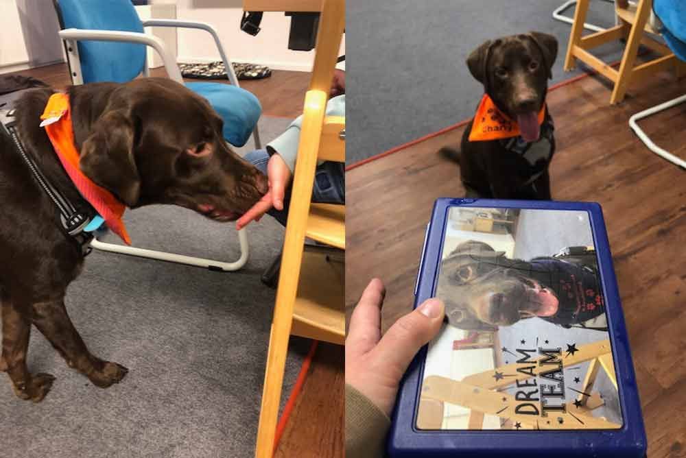 Eine Person hält eine blaue Schachtel mit einem Hundebild darauf