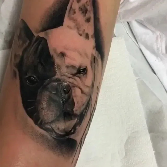 Eine Person hat eine Tätowierung einer französischen Bulldogge auf dem Arm.