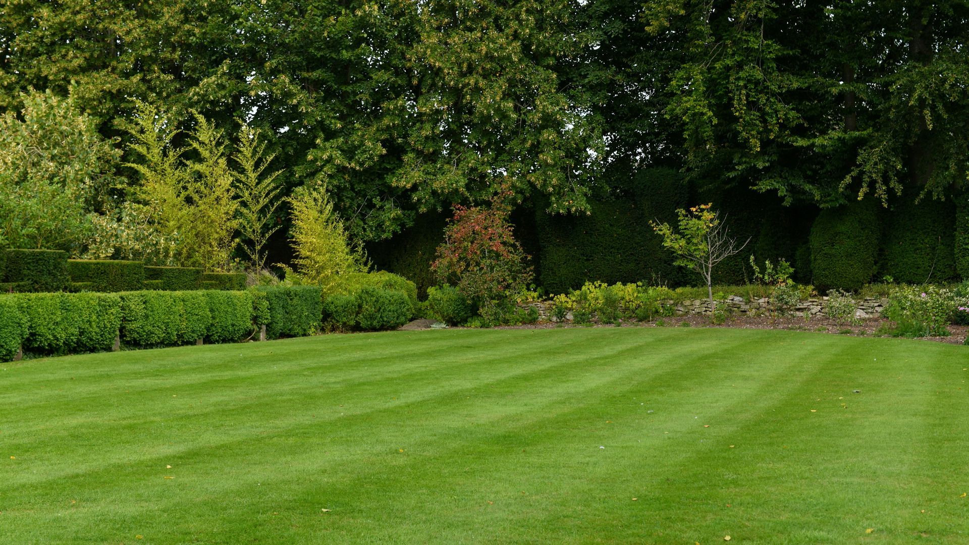 Pelouse verte tondue, bordée de haies et d’arbres dans un jardin